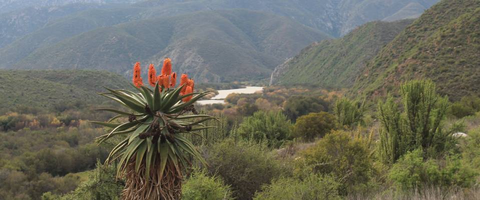 Bôjaankop 4x4 Trail